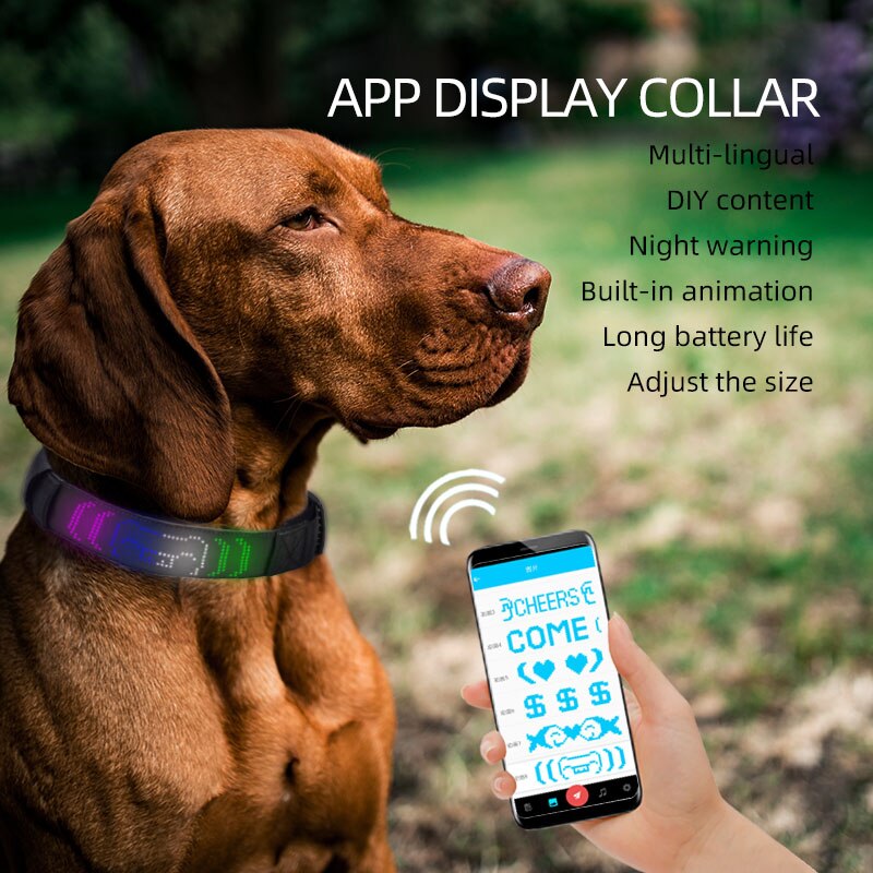BrightPup™  - Led Display Collar