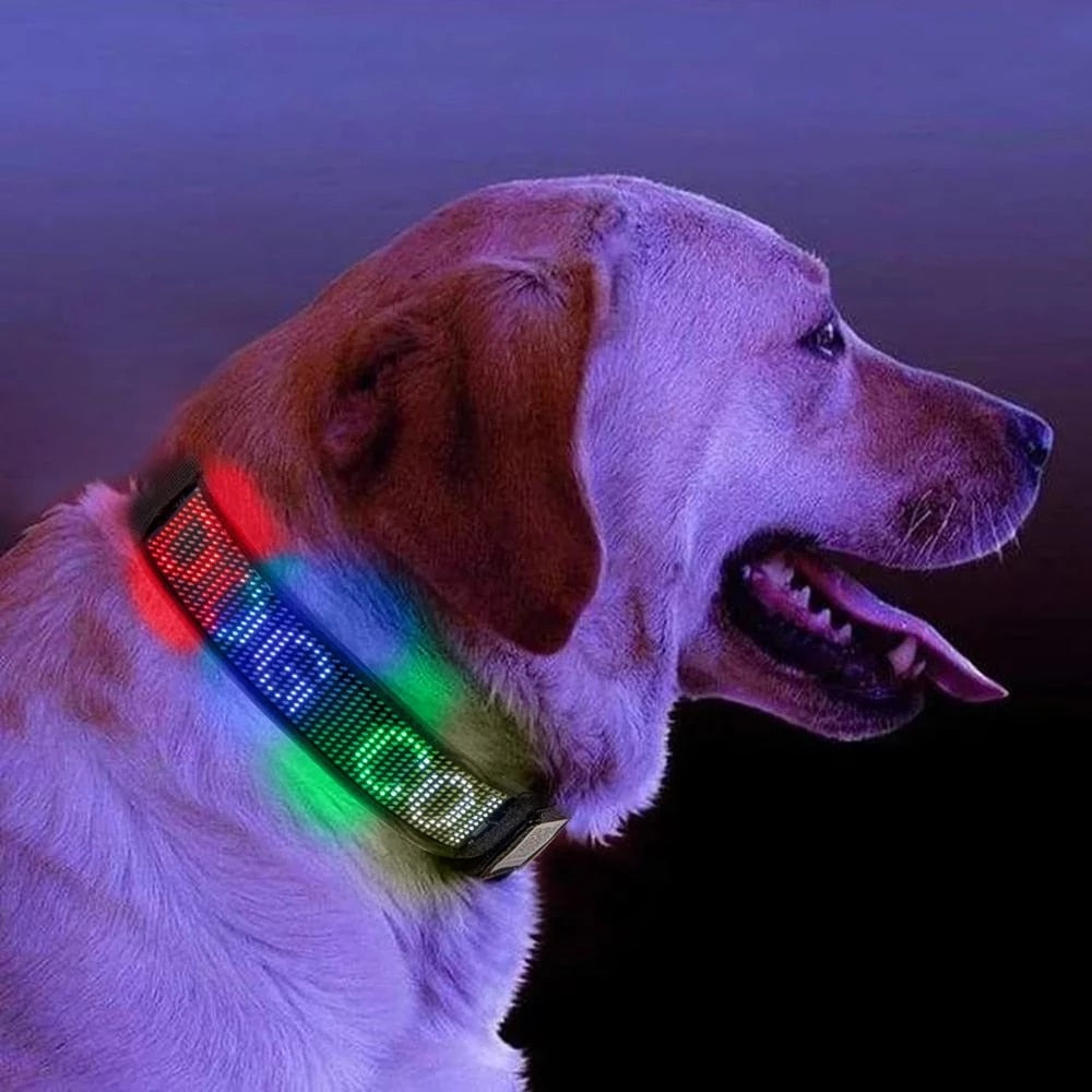 BrightPup™  - Led Display Collar