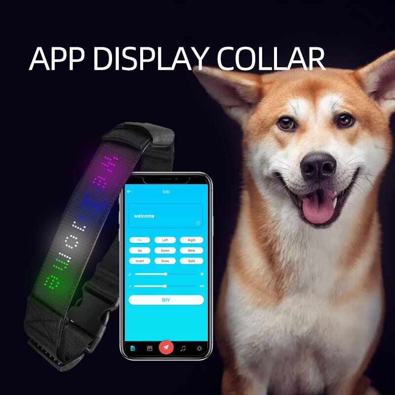 BrightPup™  - Led Display Collar